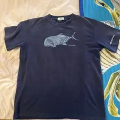 Item thumbnail for item 99dcd957-09f4-4ae8-b5f0-ff1b3f441da9