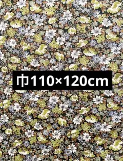 Item thumbnail for item 91e48123-b4c1-4673-88e4-7a30303e54a7