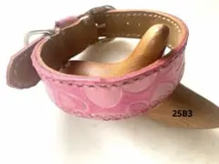 Item thumbnail for item e13e33b3-b12e-4a3a-9f58-f970ee720c5a