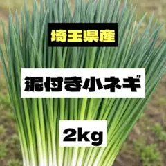 高知県産葉にんにく 葉ニンニク 野菜 産地直送2kg mdmjt - メルカリ