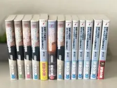電撃文庫 青春ブタ野郎 1～13巻セット 鴨志田一 溝口ケージ　良品