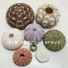 akino様 リクエスト 2点 まとめ商品