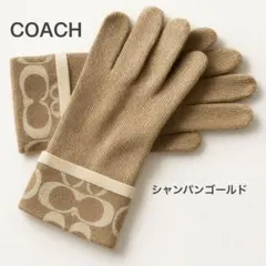 Item thumbnail for item 90140dbe-890e-4036-a69a-8f1c892efc9b