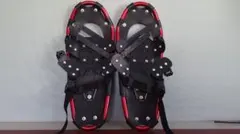 Item thumbnail for item 113bb2d7-ef6c-47f0-862a-383ac13e055e