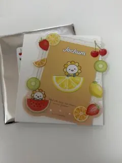 Jochum Biraセット JOCHUM Bira ビラ セット Amazon.co.jp: JO1 JOCHUM