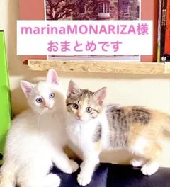 marinaMONARIZA様 リクエスト 4点 まとめ商品