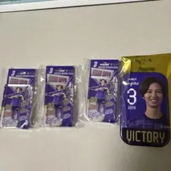 サンフレッチェ広島レジーナ　勝利時限定缶バッジ　3 呉屋絵理子