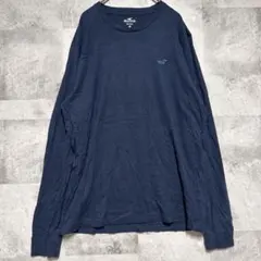 HOLLISTER ホリスター カットソー 丸首長袖 無地 L 紺 綿のサムネイル