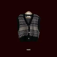 Alicedudu ／ ニットベスト