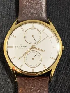 SKAGEN 自動巻 腕時計　automatic 759LGLJ メンズ　美品 SKAGEN 自動巻 腕時計 automatic 759LGLJ メンズ 美品 - メルカリ