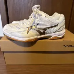 にこる様専用Mizuno バドミントンシューズ ミズノ　ウェーブファングプロ
