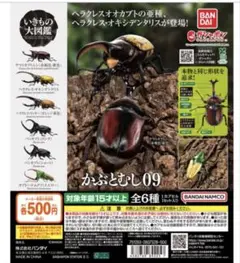 【カプセル版 いきもの大図鑑 かぶとむし09】パンカブト(ロング