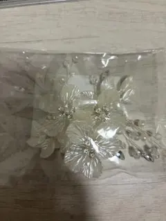 Item thumbnail for item 53687999-930d-4519-9f47-e686648dae9e