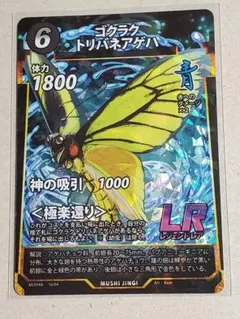 ゴクラクトリバネアゲハ