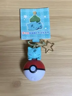 ポケモン フシギダネ モンスターボール キーホルダー ライト付き