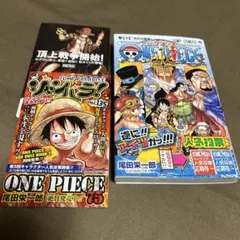 週刊少年ジャンプ 第2回 ワンピース 世界人気投票 WT100 投票券 3枚