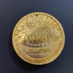 新日本プロレス　初代IWGPヘビー級チャンピオン　メンズ　ベルト 61BPNt0fVlL._AC_SY350_QL65_.jpg