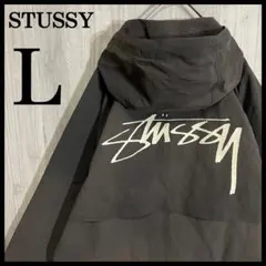 【最高カラー】ステューシー　両面ロゴ入　特殊染め加工　ナイロンジャケット　L