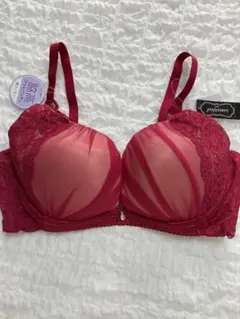 新品　エメフィール 　脇高ブラ ブラジャー　E75