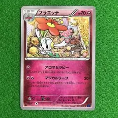 【イラスト】フラエッタ アロマセラピー 041/059 XY8 1ED