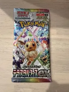 奥*ま様 【おまけ付き】ポケモンカードゲーム テラスタルフェスフェスEX 1パッ