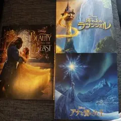 ディズニー映画パンフレット3冊セット