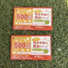 2026年最新】杉玉の人気アイテム - メルカリ