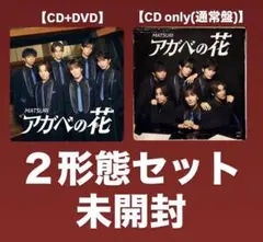 アガベの花／MATSURI 2形態セット