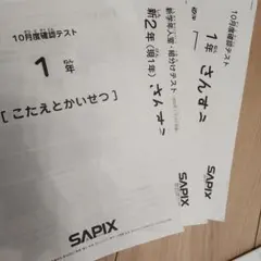 2026年最新】sapix 入室テストの人気アイテム - メルカリ