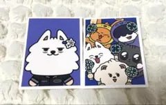 ヨンモン アプグレ プレミアムシート ステッカー