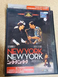 ニューヨーク・ニューヨーク　DVD