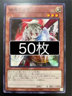 遊戯王　幽鬼うさぎ　ノーマル　50枚