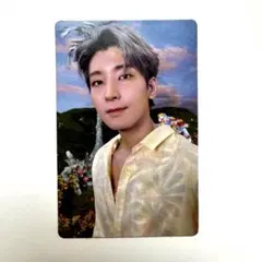 SEVENTEEN セブチ SECTOR 17 アルバム トレカ ウォヌ