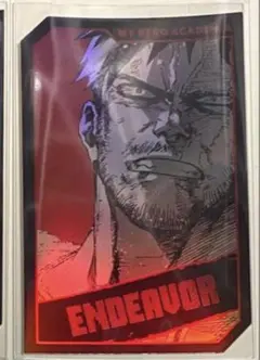 僕のヒーローアカデミア ヒロアカ ホロカードコレクション エンデヴァー