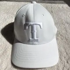 Item thumbnail for item 1f63ab21-ecb5-416a-ba50-be0e416fe4b5