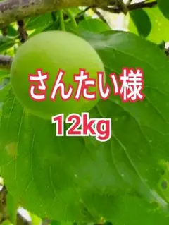 2026年最新】小梅ジャムの人気アイテム - メルカリ