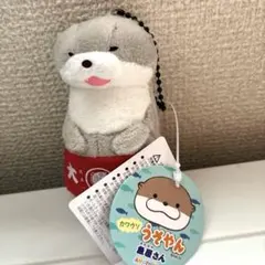 カワウソうそやん 魚屋さん