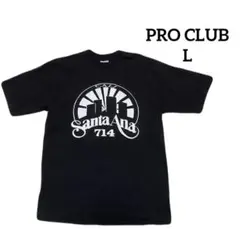 PRO CLUB プロクラブ　santa anaプリントTシャツ 黒　L＊QI