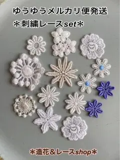 レア☆高品質ししゅうレースset(A)