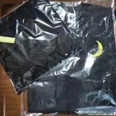 Item thumbnail for item 6a21308b-66f7-4746-81c9-37a49ad3b908