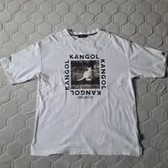 Item thumbnail for item 7fd753b1-9285-4074-9c8f-2536d480d787