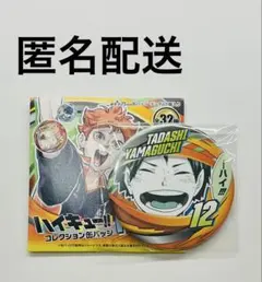 【匿名配送】ハイキュー コレクション缶バッジ fun!! 山口 ファンパーク