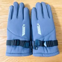 アウトドア グローブ 保温 厚手 裏起毛 防水 防風 フリーサイズ グレー