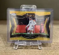 Item thumbnail for item bf81265d-2801-4abc-b257-10e609067a11