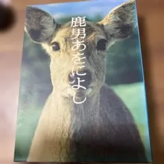 新品未開封 鹿男あをによし ディレクターズカット完全版 DVD-BOX