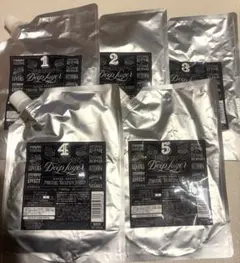 Deep Layer モイスチャートリートメント System 1-5 セット