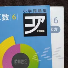 小学問題集 コア 数学 6