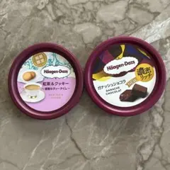 ハーゲンダッツ Häagen-Dazs 蓋 12個 - メルカリ
