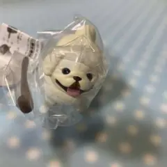 いい感じの棒をゲットした犬　ペキニーズ ガチャ