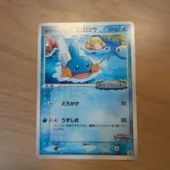 ポケパークのミズゴロウ PROMO PCG-Pプロモカード 048/PCG-P